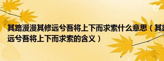 其路漫漫其修远兮吾将上下而求索什么意思（其路漫漫其修远兮吾将上下而求索的含义）