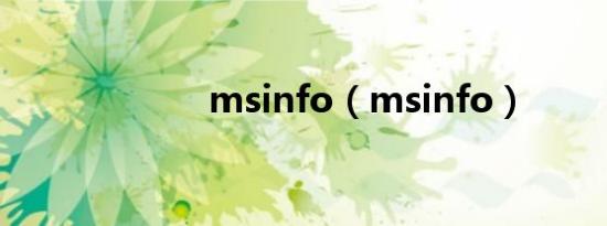 msinfo（msinfo）