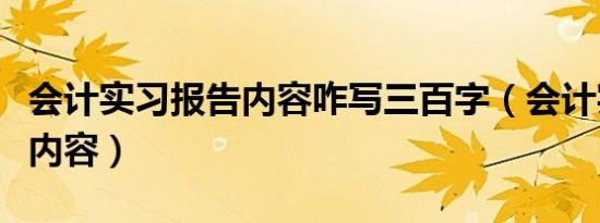 会计实习报告内容咋写三百字（会计实习报告内容）