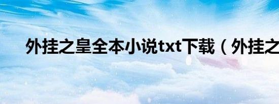 外挂之皇全本小说txt下载（外挂之皇）