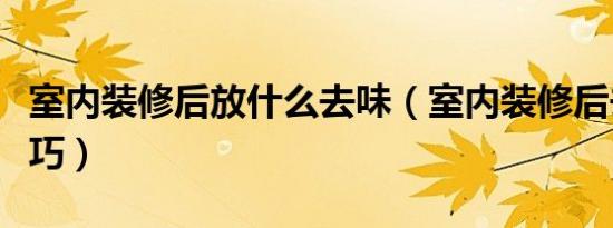 室内装修后放什么去味（室内装修后去味的技巧）