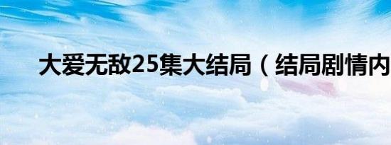 大爱无敌25集大结局（结局剧情内容）