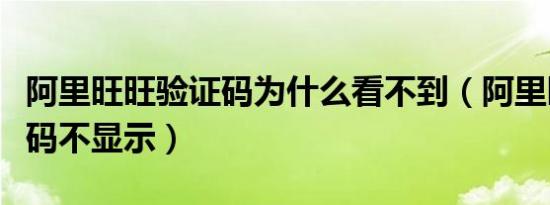 阿里旺旺验证码为什么看不到（阿里旺旺验证码不显示）