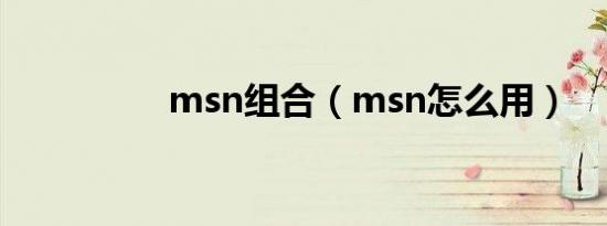 msn组合（msn怎么用）