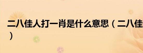 二八佳人打一肖是什么意思（二八佳人打一肖）