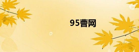 95曹网