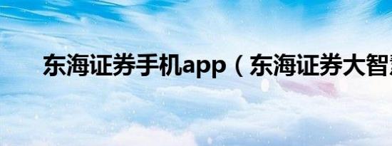 东海证券手机app（东海证券大智慧）