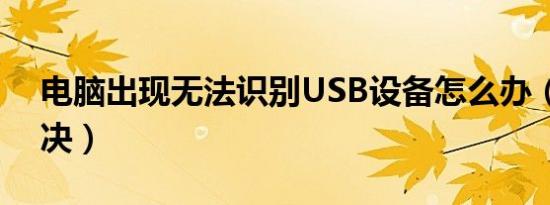 电脑出现无法识别USB设备怎么办（如何解决）