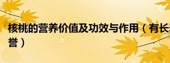 核桃的营养价值及功效与作用（有长寿果的美誉）