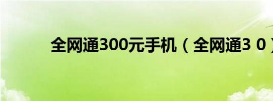 全网通300元手机（全网通3 0）