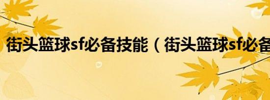 街头篮球sf必备技能（街头篮球sf必备技能）