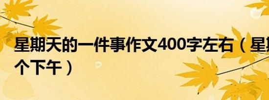 星期天的一件事作文400字左右（星期天的一个下午）