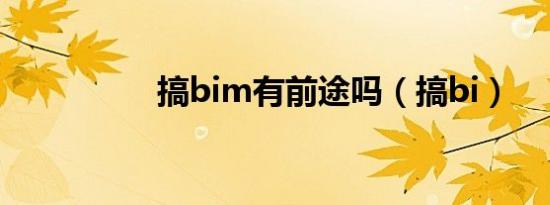 搞bim有前途吗（搞bi）