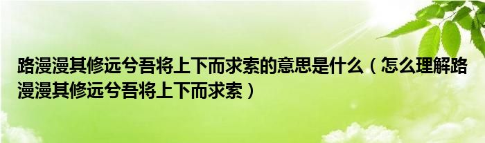 路漫漫其修远兮吾将上下而求索的意思是什么