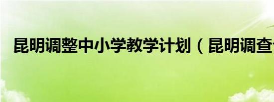 昆明调整中小学教学计划（昆明调查公司）