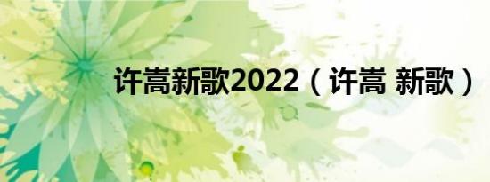 许嵩新歌2022（许嵩 新歌）