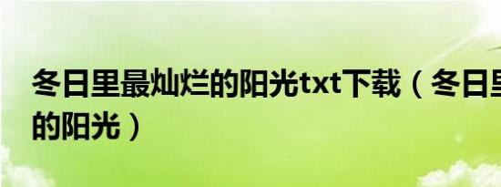 冬日里最灿烂的阳光txt下载（冬日里最灿烂的阳光）