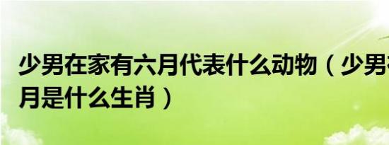 少男在家有六月代表什么动物（少男在家有六月是什么生肖）