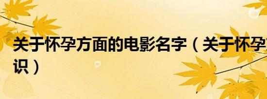 关于怀孕方面的电影名字（关于怀孕方面的知识）