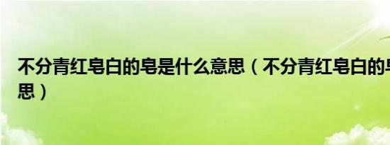 不分青红皂白的皂是什么意思（不分青红皂白的皂是什么意思）