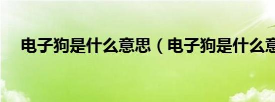 电子狗是什么意思（电子狗是什么意思）