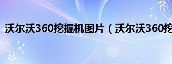 沃尔沃360挖掘机图片（沃尔沃360挖掘机）