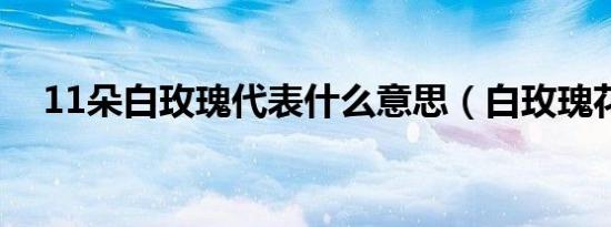 11朵白玫瑰代表什么意思（白玫瑰花语）