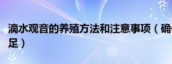 滴水观音的养殖方法和注意事项（确保营养充足）