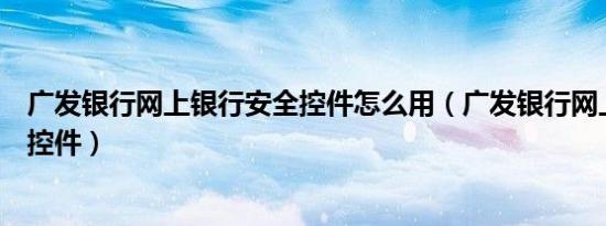 广发银行网上银行安全控件怎么用（广发银行网上银行安全控件）