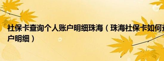 社保卡查询个人账户明细珠海（珠海社保卡如何查询个人账户明细）