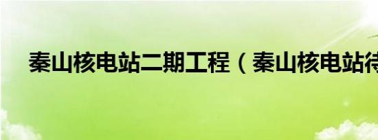 秦山核电站二期工程（秦山核电站待遇）