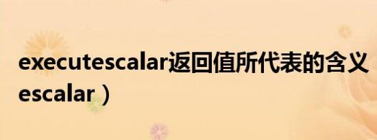 executescalar返回值所代表的含义（executescalar）