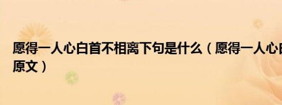 愿得一人心白首不相离下句是什么（愿得一人心白首不相离原文）