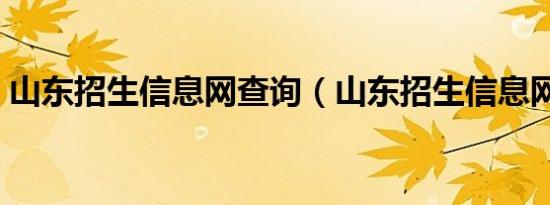 山东招生信息网查询（山东招生信息网查询）