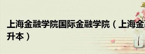 上海金融学院国际金融学院（上海金融学院专升本）