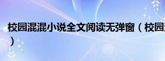 校园混混小说全文阅读无弹窗（校园混混小说）