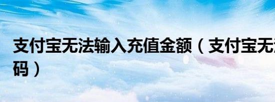 支付宝无法输入充值金额（支付宝无法输入密码）