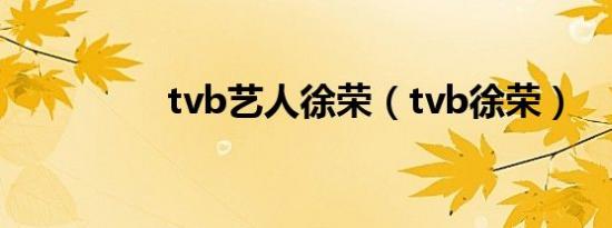 tvb艺人徐荣（tvb徐荣）