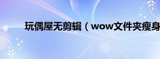 玩偶屋无剪辑（wow文件夹瘦身）