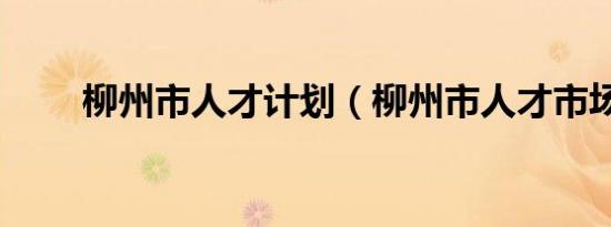 柳州市人才计划（柳州市人才市场）