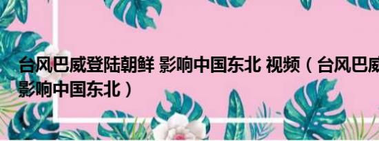 台风巴威登陆朝鲜 影响中国东北 视频（台风巴威登陆朝鲜 影响中国东北）