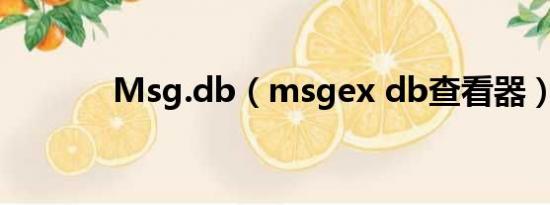 Msg.db（msgex db查看器）