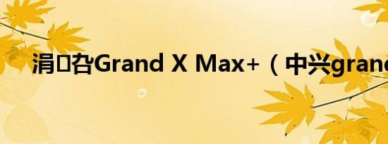 涓叴Grand X Max+（中兴grand x）