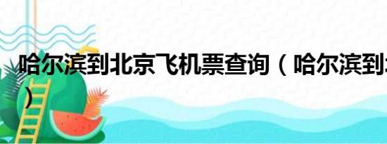 哈尔滨到北京飞机票查询（哈尔滨到北京飞机）