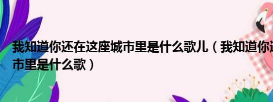 我知道你还在这座城市里是什么歌儿（我知道你还在这座城市里是什么歌）