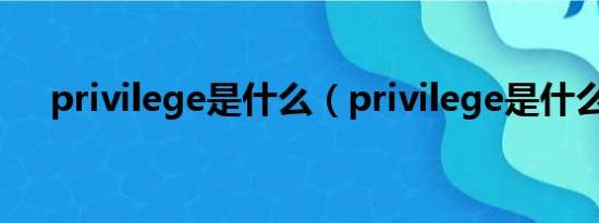 privilege是什么（privilege是什么梗）