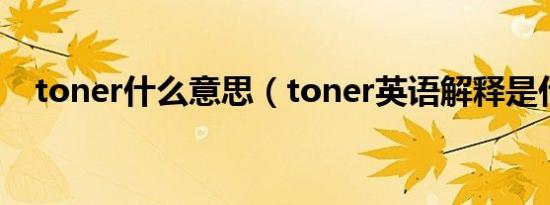 toner什么意思（toner英语解释是什么）