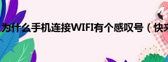 为什么手机连接WIFI有个感叹号（快来看看）