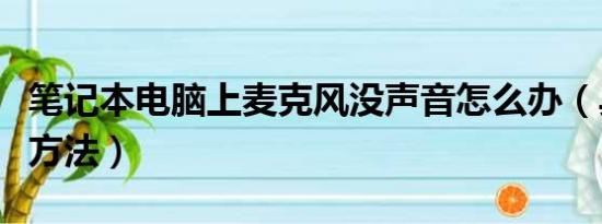 笔记本电脑上麦克风没声音怎么办（具体解决方法）