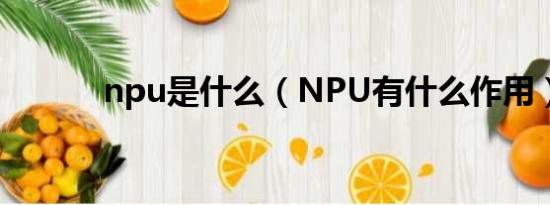 npu是什么（NPU有什么作用）